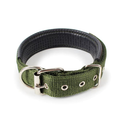 Collar Clásico con Hebilla para Mascotas