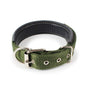 Collar Clásico con Hebilla para Mascotas