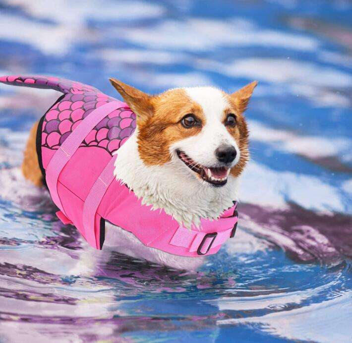 Flotador con Diseño de Sirena para Mascotas