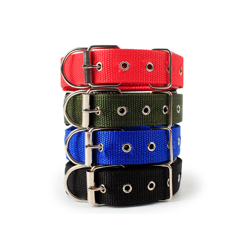 Collar Clásico con Hebilla para Mascotas