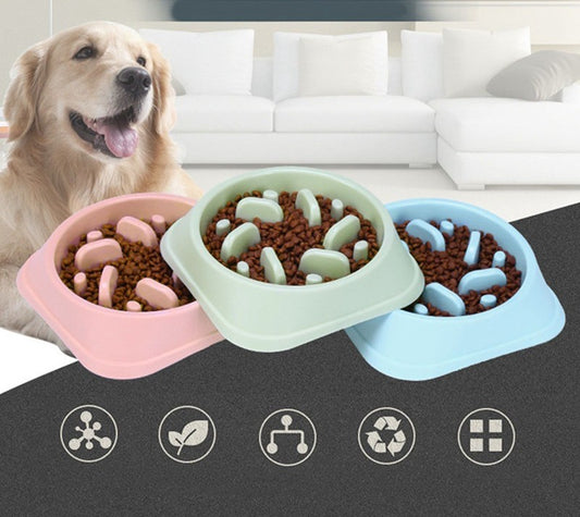 Bowl de Comida Lenta para Mascotas