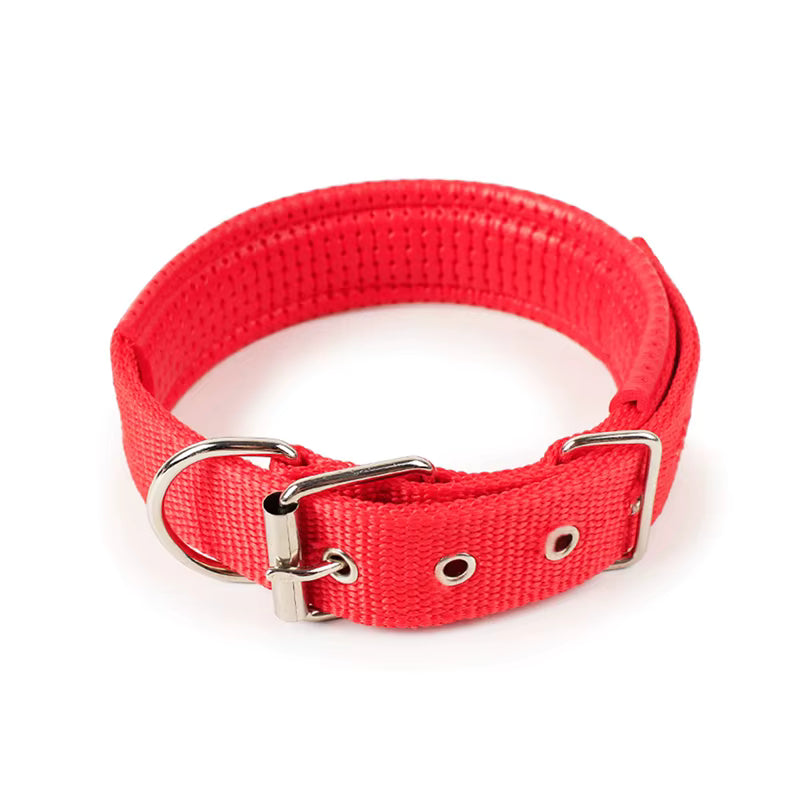 Collar Clásico con Hebilla para Mascotas