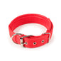 Collar Clásico con Hebilla para Mascotas