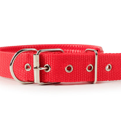 Collar Clásico con Hebilla para Mascotas