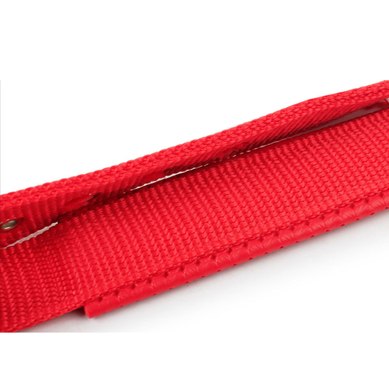 Collar Clásico con Hebilla para Mascotas