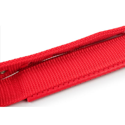 Collar Clásico con Hebilla para Mascotas