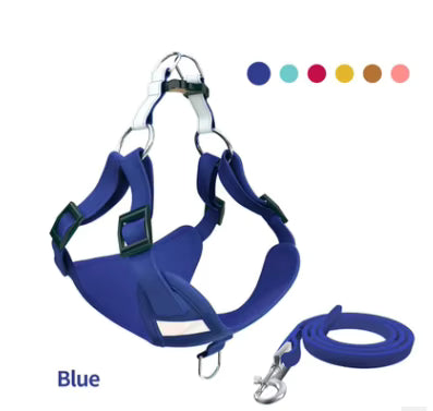 Arnés Ecoamigable Color Entero para Mascotas