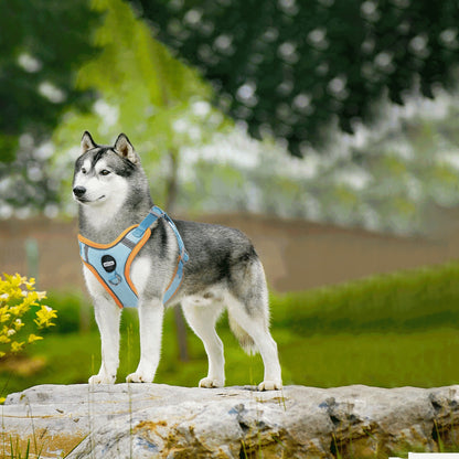 Arnés Ecoamigable Reflectivo para Mascotas