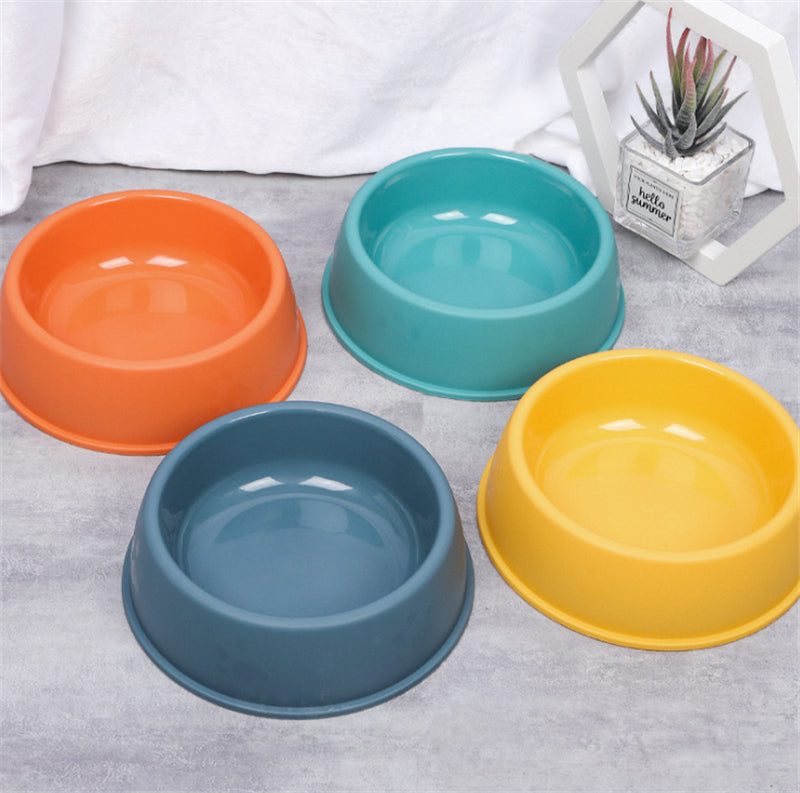 Bowl Individual para Mascotas