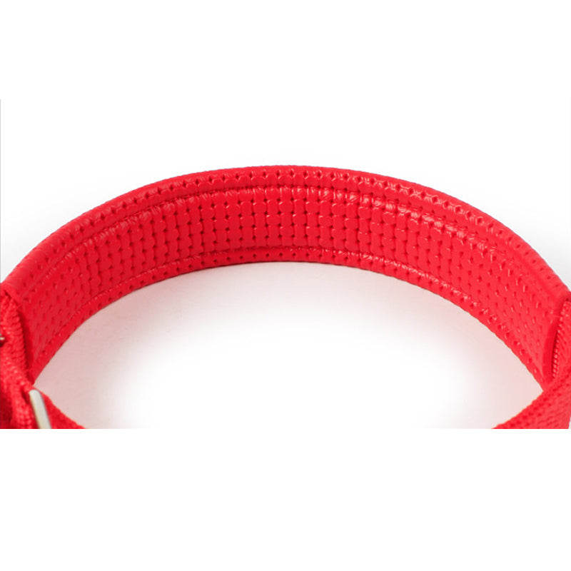 Collar Clásico con Hebilla para Mascotas