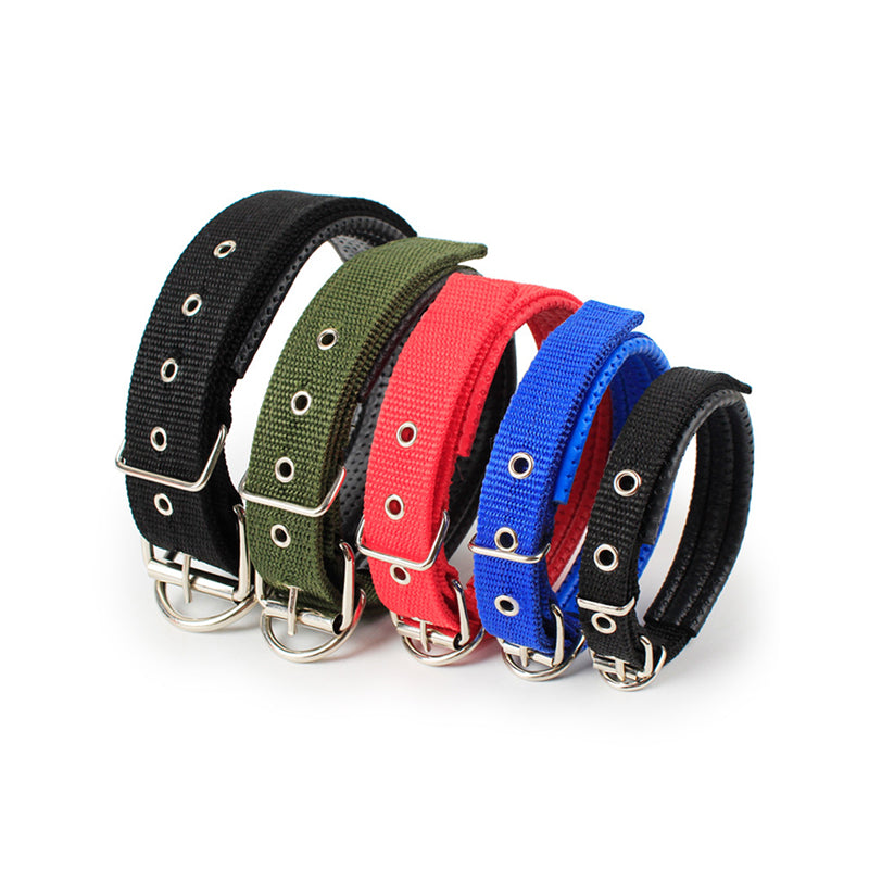Collar Clásico con Hebilla para Mascotas