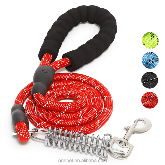 Correa Elástica para Perro