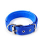 Collar Clásico con Hebilla para Mascotas
