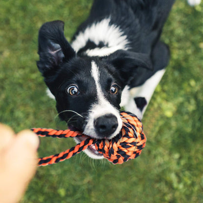 Pelota con Cuerda de algodón para Mascotas