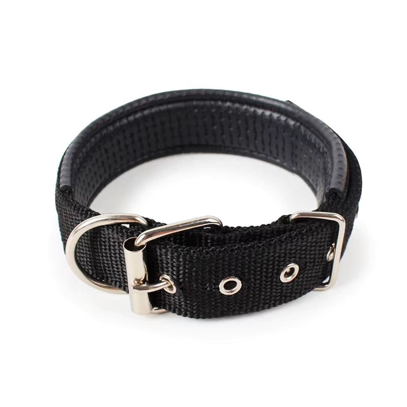 Collar Clásico con Hebilla para Mascotas