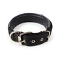 Collar Clásico con Hebilla para Mascotas